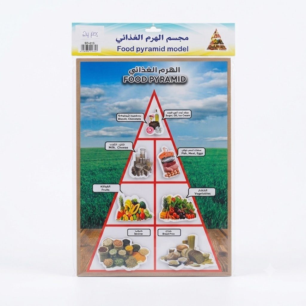 نموذج هرم غذائي ثلاثي الأبعاد بحجم A4 مصنوع من الورق المقوى، مجموعة أدوات تعليمية يدوية وتماثيل